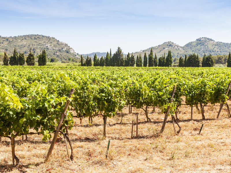 La Provence en septembre